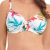 Badetoj Fantasie | Fantasie Swim Kiawah Island Bikinioverdel Fullkupa D-M Kupa Monstrad