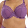 Underklader Elomi | Elomi Charley Pansy Plunge Bh D-N-Kupa