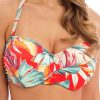 Badetoj Fantasie | Fantasie Swim Bamboo Grove Hot Chilli Bikinioverdel Bandeau D-I Kupa Monstrad