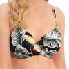 Badetoj Fantasie | Fantasie Swim Bamboo Grove Bikinioverdel Fullkupa D-M Kupa Monstrad